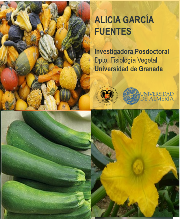 CONFERENCIA: Herramientas Biotecnológicas utilizadas en la Mejora Genética Vegetal