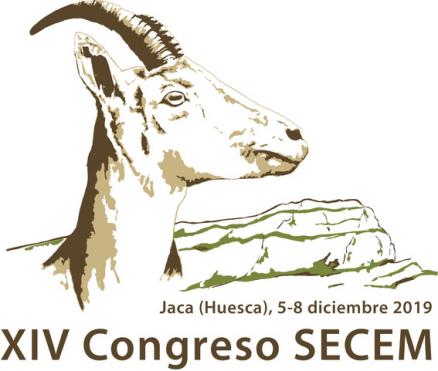 Logotipo XIV Congreso Jaca