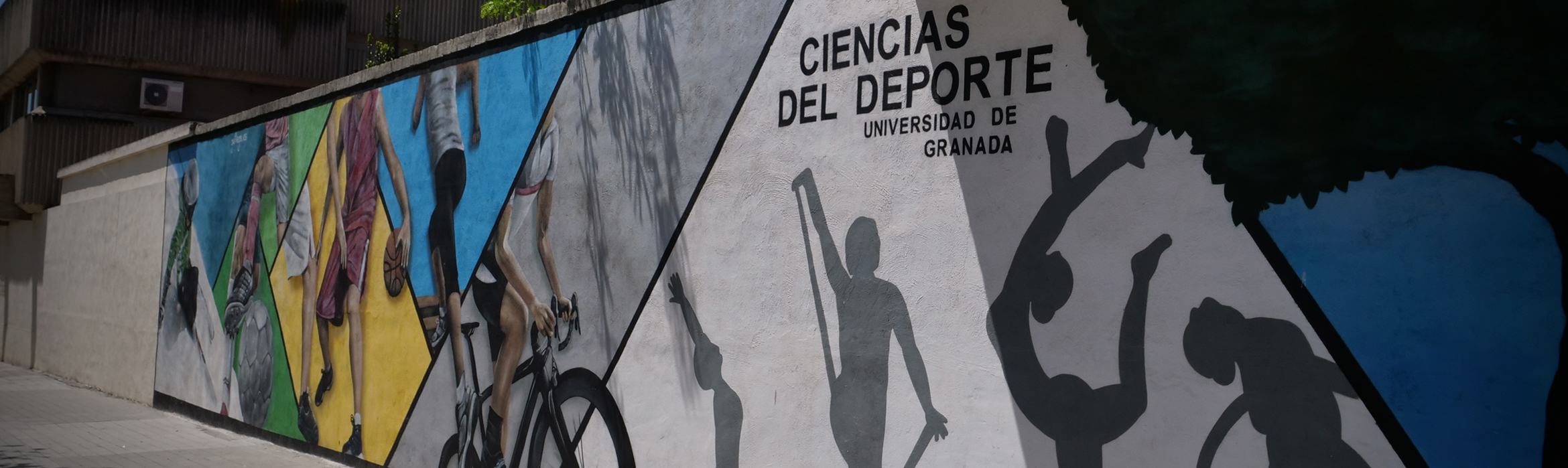Muro de la entrada exterior de la Facultad de Ciencias del Deporte pintado representando diferentes deportes