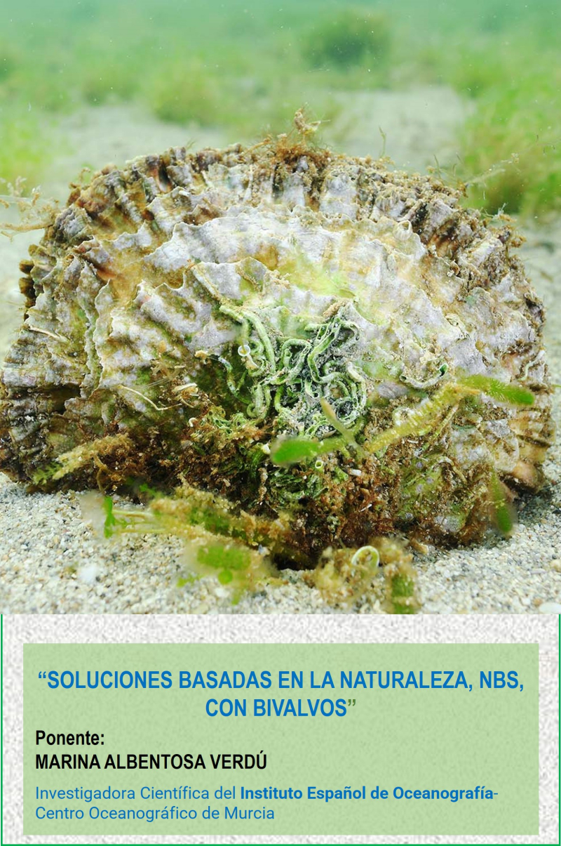 Soluciones basadas en la Naturaleza, NbS, con Bivalvos