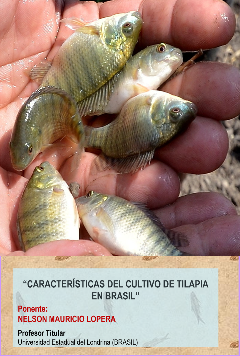 Seminario Cultivo Tilapia en Brasil
