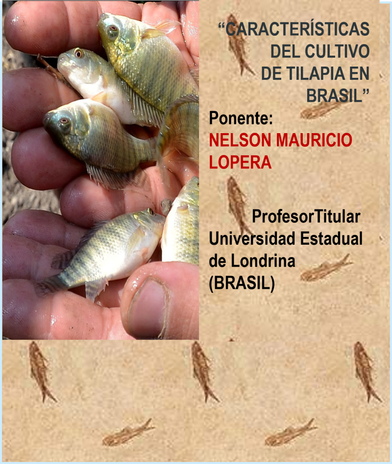 Seminario Cultivo Tilapia en Brasil