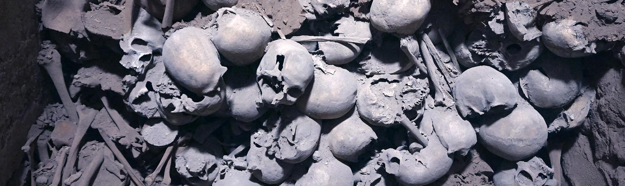 Cráneos en una excavación
