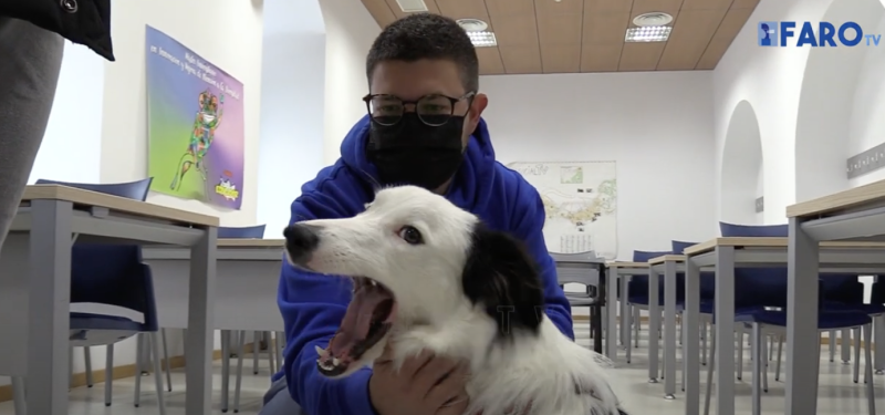 Imagen de un perro con su adiestrador en un aula de la Facultad Imagen de un perro con su adiestrador en un aula de la Facultad