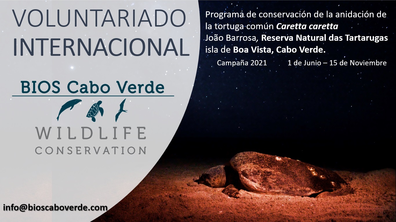 Cartel del voluntariado BIOS Cabo Verde