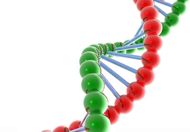 Máster Bioenterprise Máster Bioenterprise