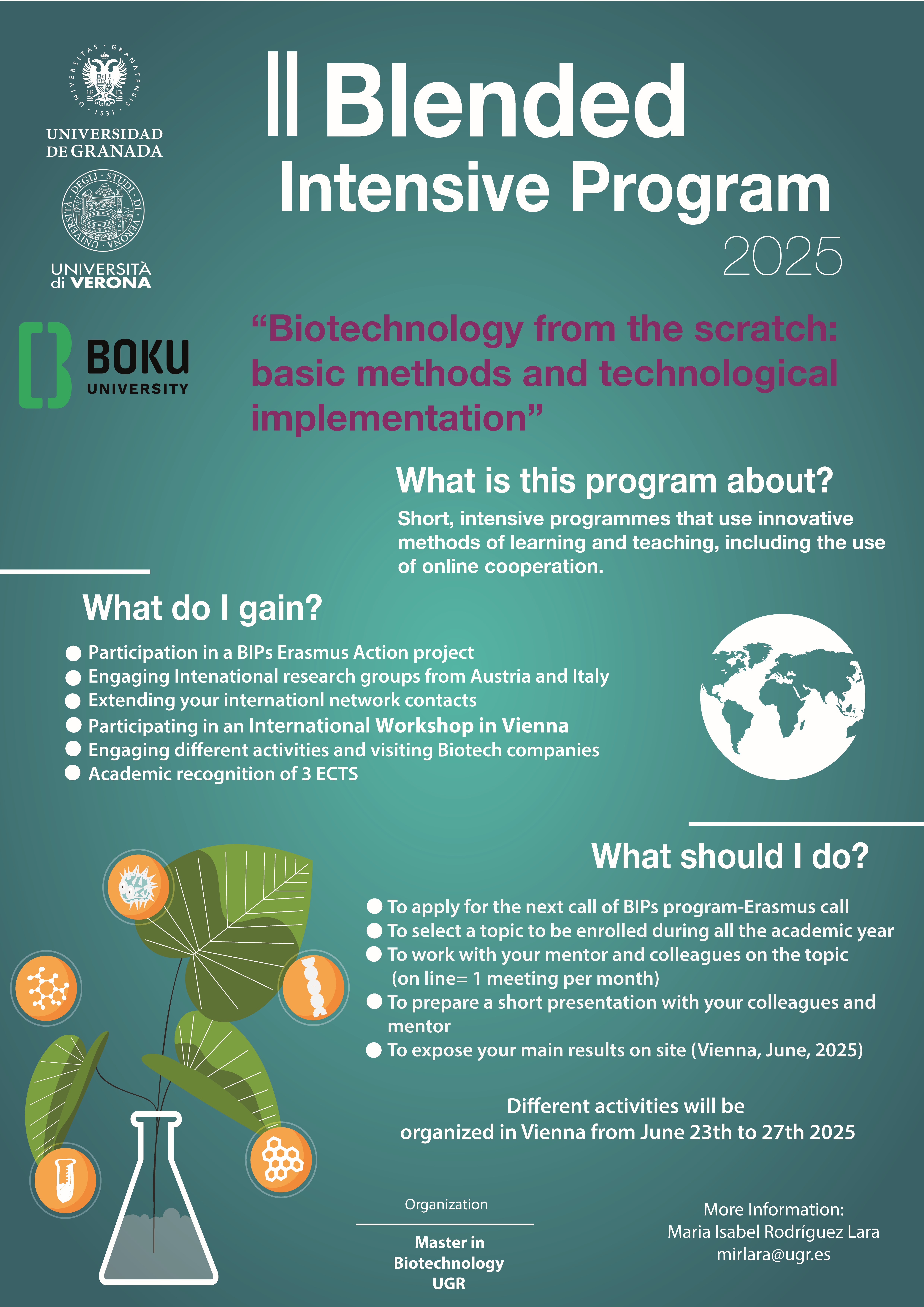 BiP programme flyer BIP Programme
