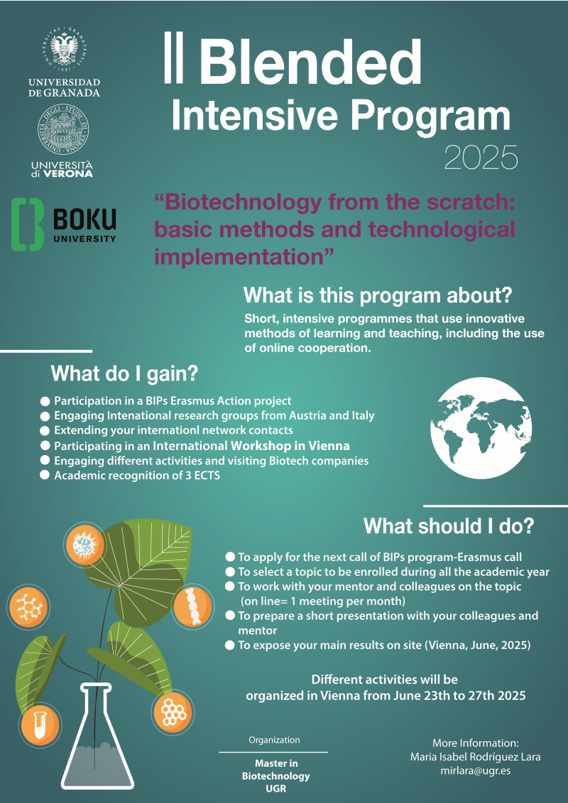 BIP Programme
