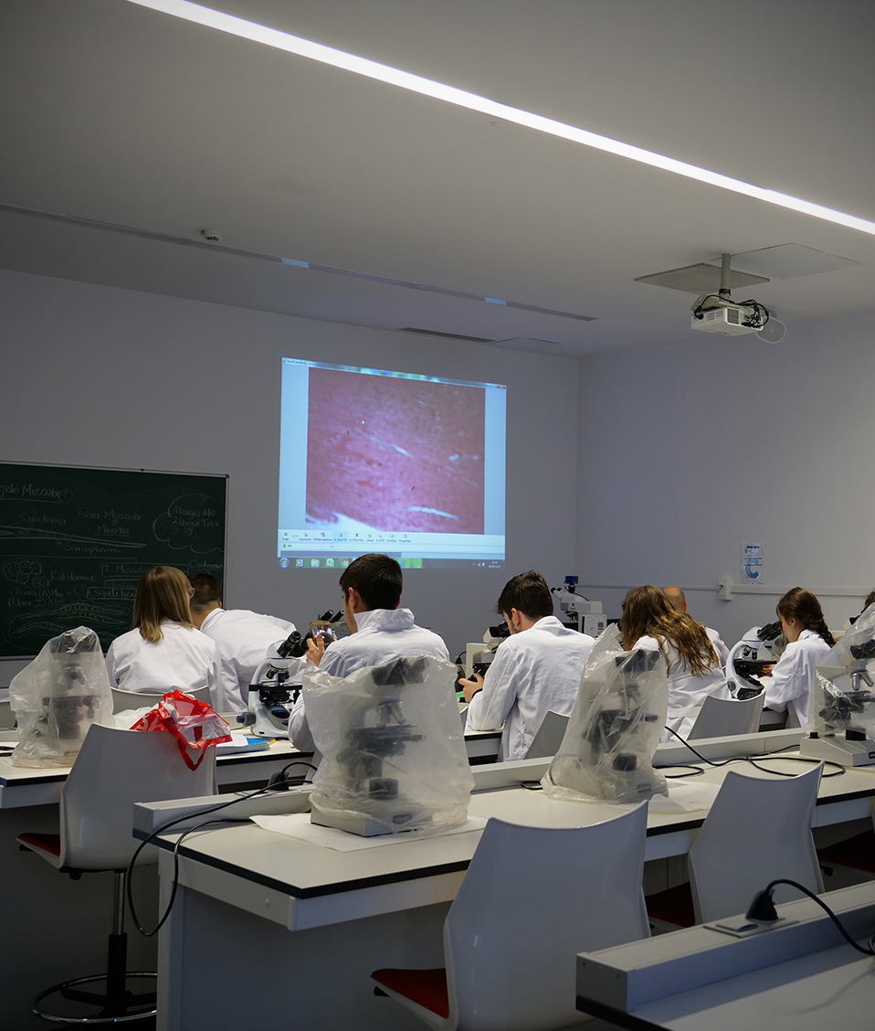 Vista desde atrás de una de las clases prácticas con microscopio recibida por los estudiantes de la Facultad de Farmacia