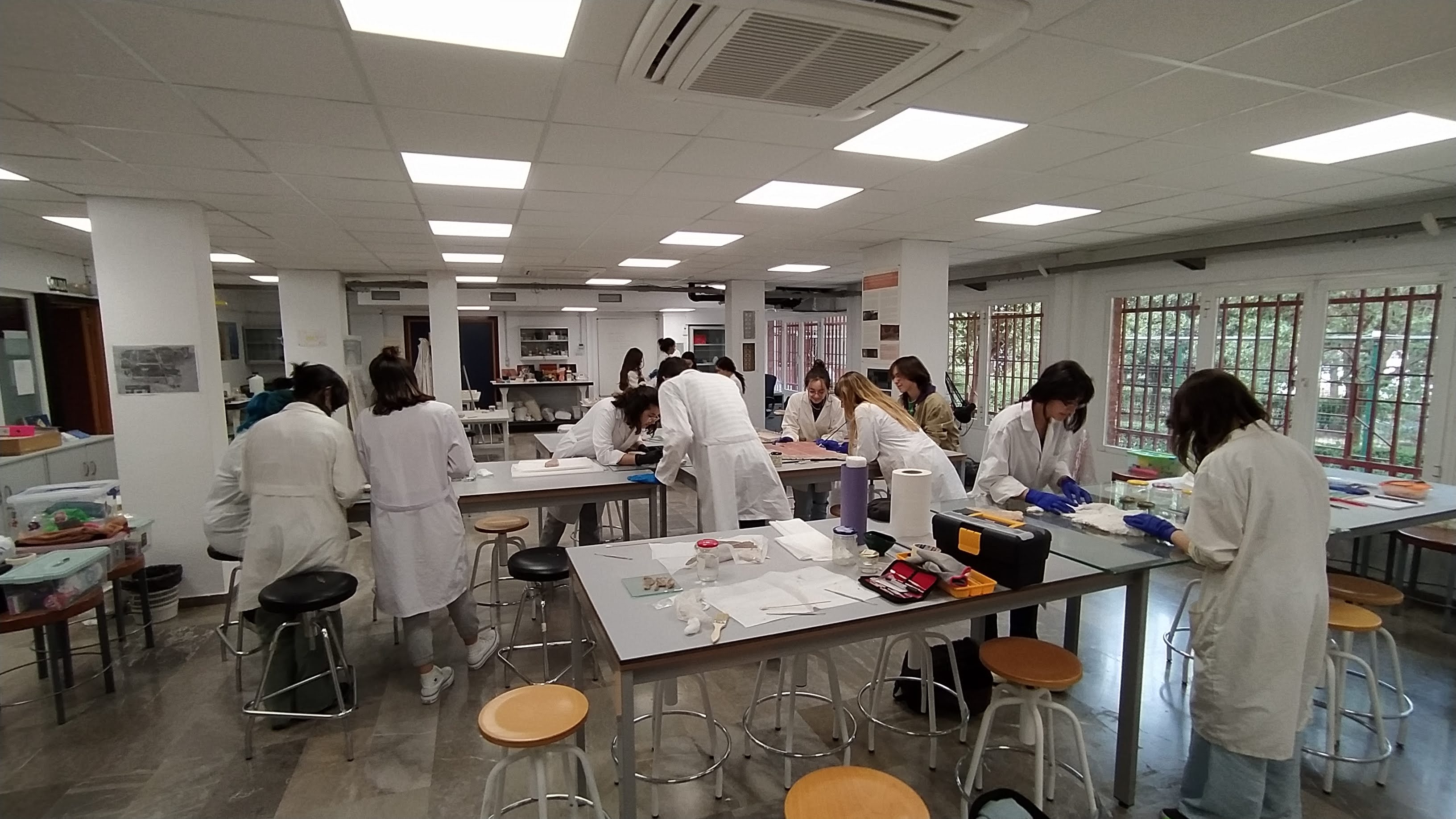 Laboratorio restauracion