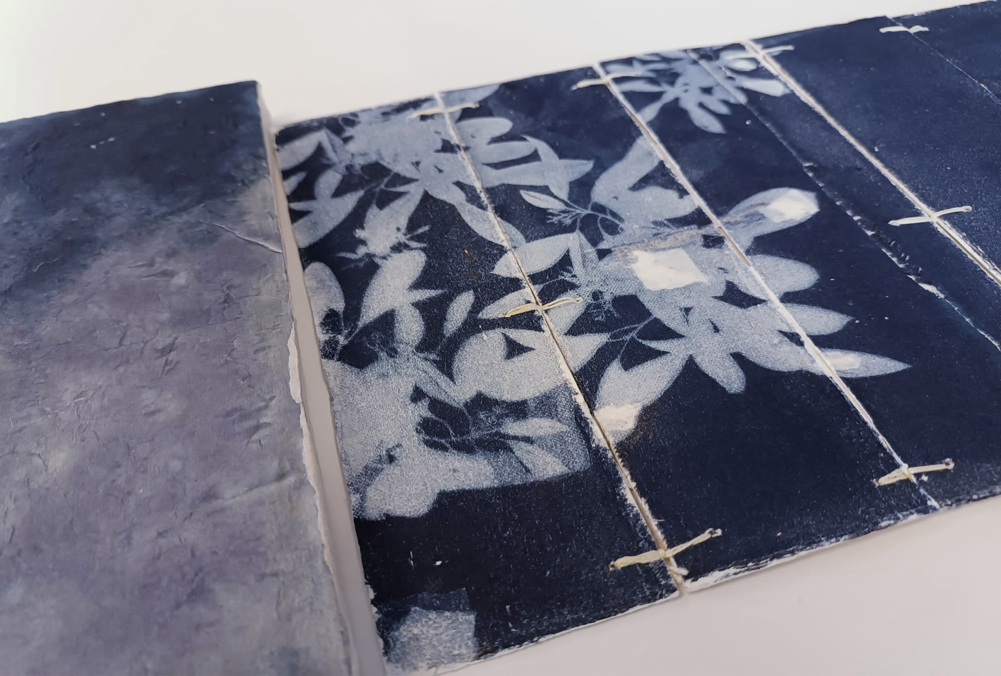 Libro de artista