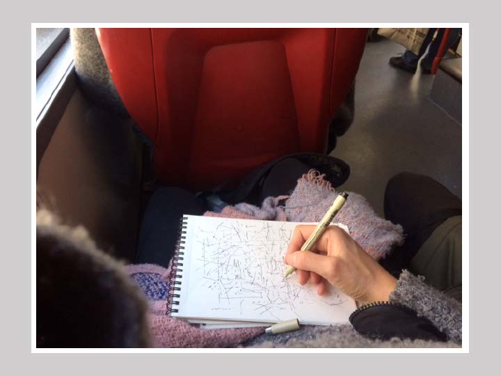 Dibujo, naturaleza y recepción
