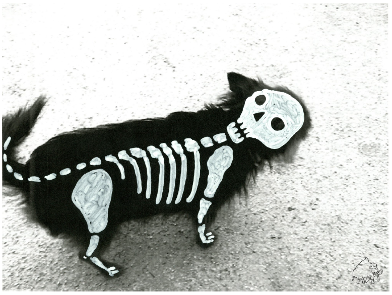 Pintura esqueleto gato