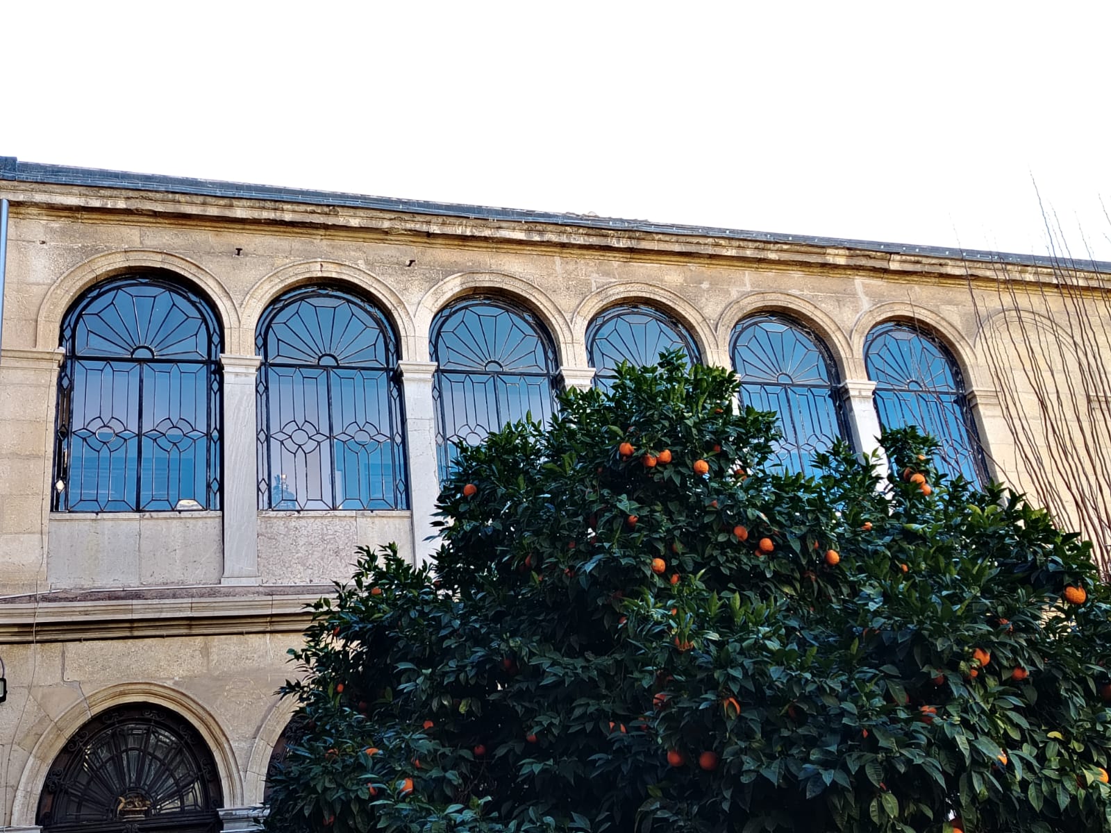 Fachada interior de la Facultad de Traducción en Interpretación con naranjo y ventanales.