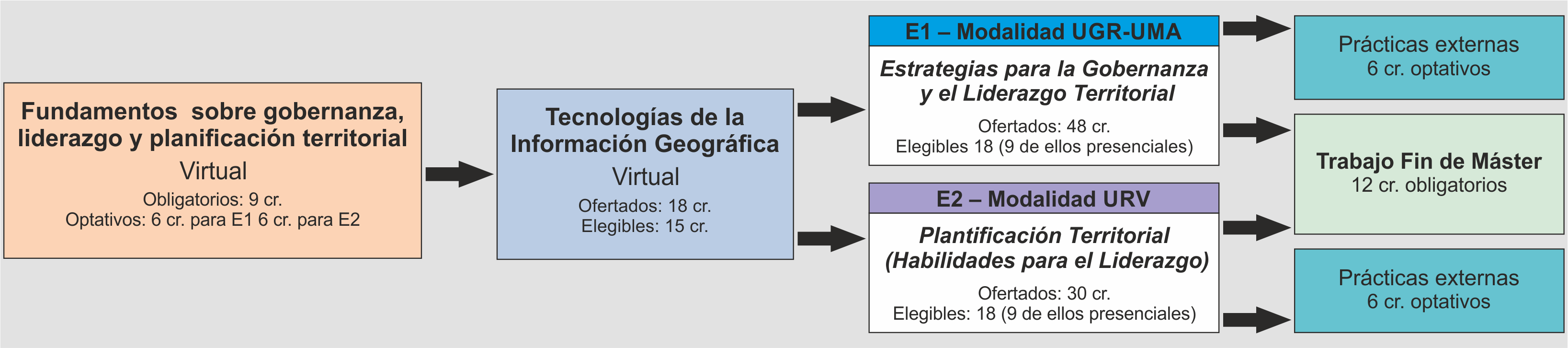Estructura esquematizada por módulos del plan de estudios del Máster